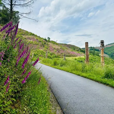 Happy Platz Mit Sauna, Flair & Platz Fuer 6 Personen